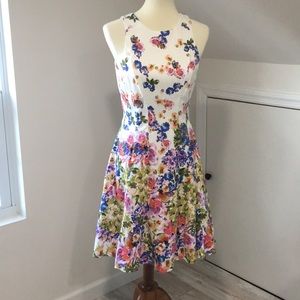 Maggy London Pretty Dress